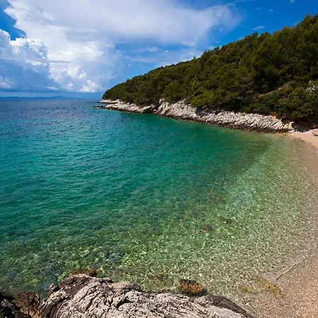 Secluded Fisherman's Cove Medvidina, Hvar - 23709 Feriehus