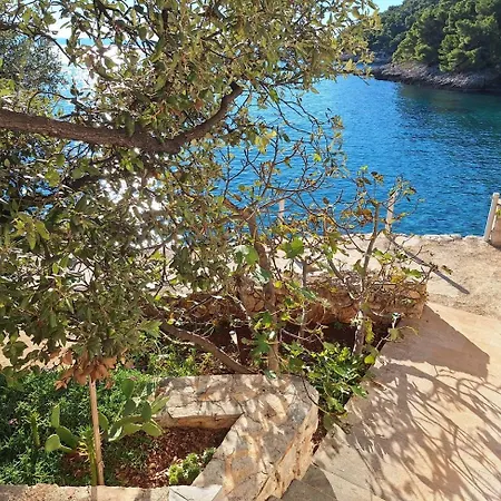 Secluded Fisherman's Cove Medvidina, Hvar - 23709 Gdinj