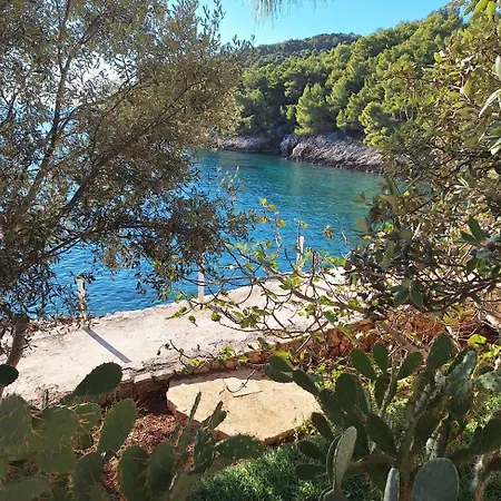 Secluded Fisherman's Cove Medvidina, Hvar - 23709 Prázdninový dům *